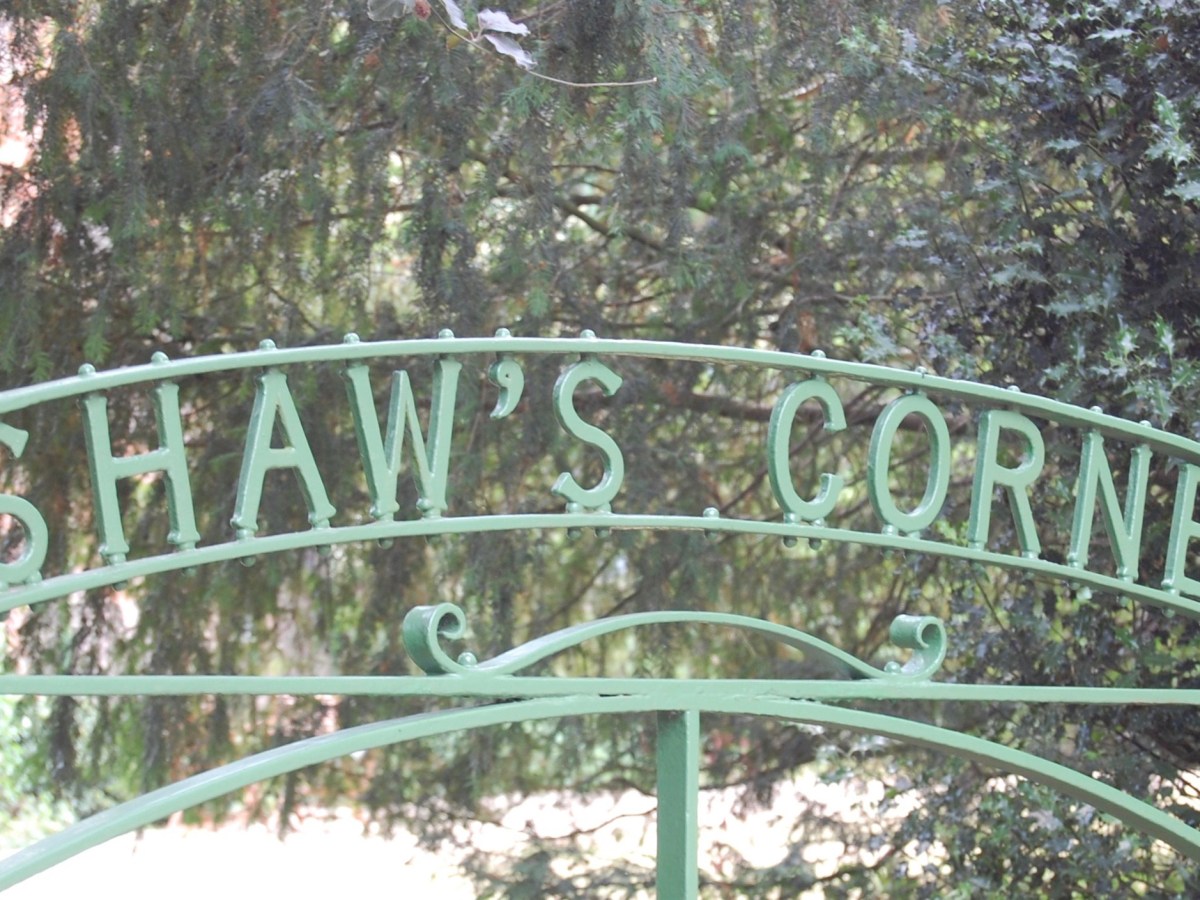 Shaw’s Corner