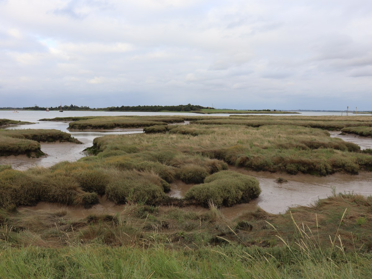 Out to where the Essex&nbsp;Marsh…