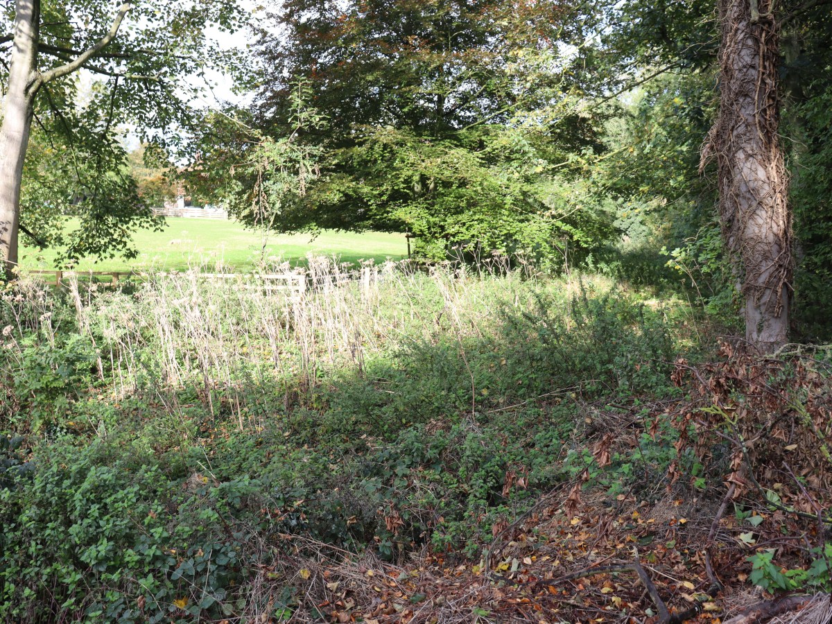 The Tolkien Triangle